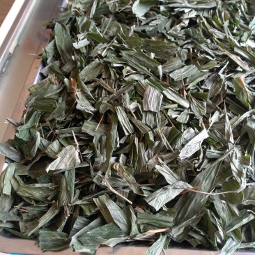 淡竹叶衡阳野生干货