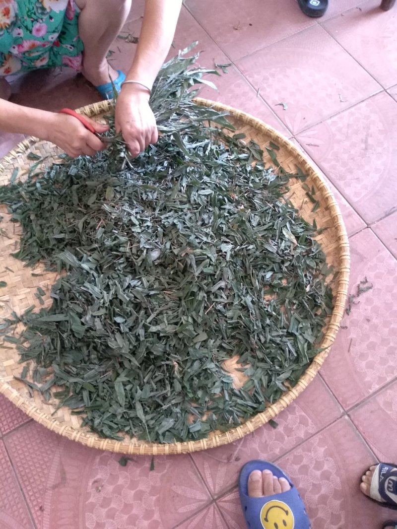 淡竹叶衡阳野生干货