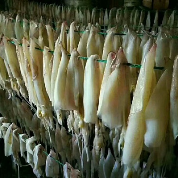 北海正宗船上吊晒鱿鱼