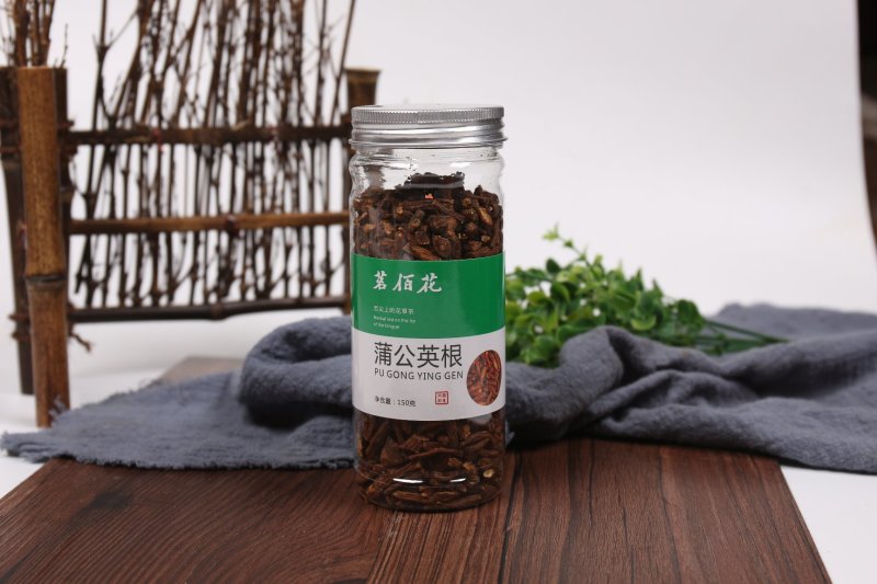 蒲公英根茶公英根蒲公英茶婆婆丁根厂家直供