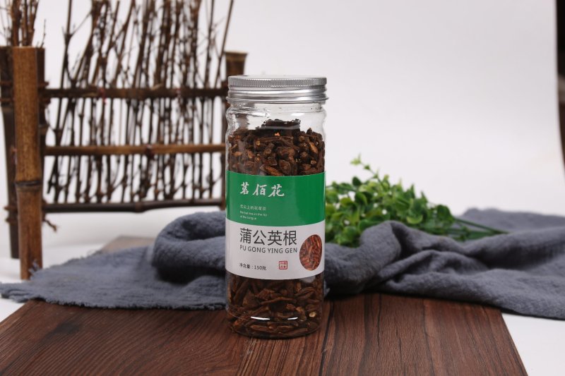 蒲公英根茶公英根蒲公英茶婆婆丁根厂家直供
