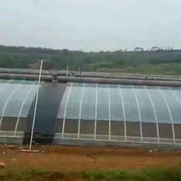 食用菌大棚专业设计安装包工包料或只供材料菌菇大棚