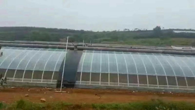 食用菌大棚专业设计安装包工包料或只供材料菌菇大棚