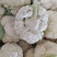 【松花菜】河北大棚有机菜花新鲜松花菜产地直发一手货源代发