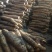 【精品】平度白玉山药产地直供质量保证产地直发