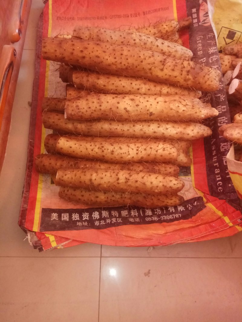 【精品】平度牛腿白玉面山药产地直供，适合各地市场，加工厂