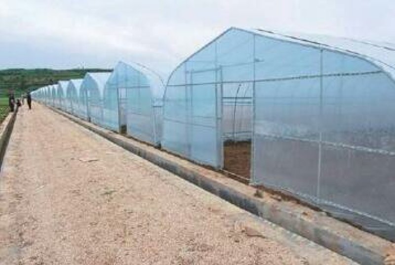 普通大棚圆管椭圆管钢架大棚单体连栋内外棚