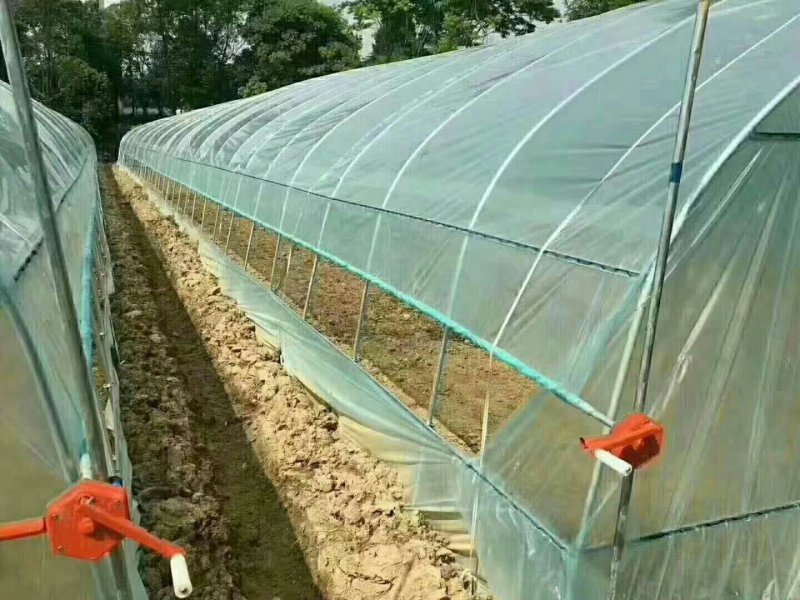 普通大棚圆管椭圆管钢架大棚单体连栋内外棚
