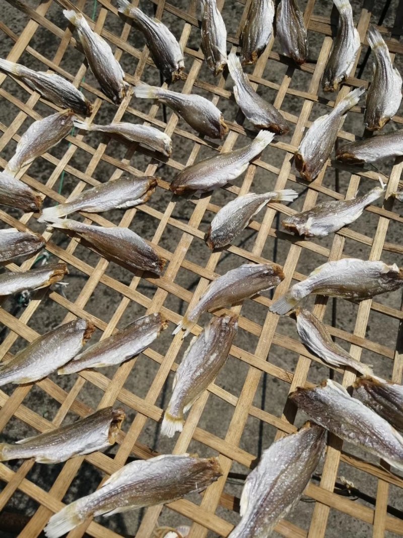 鱼干