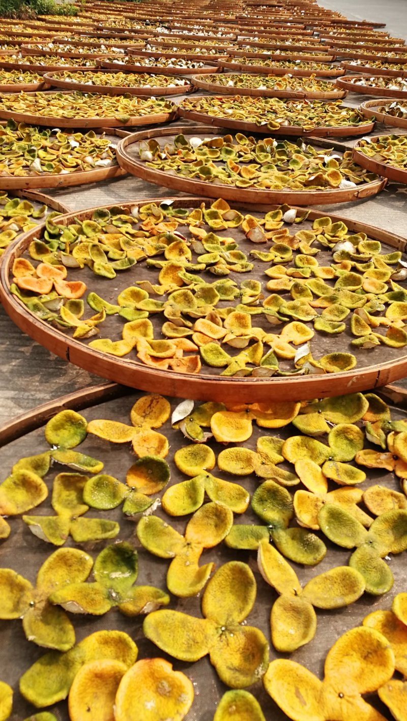 源产地正宗新会三江陈皮新皮陈皮药材用泡茶煲汤原材料
