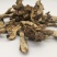 24小时在线服务一手货源超高性价比畅销苍术火爆抢购中
