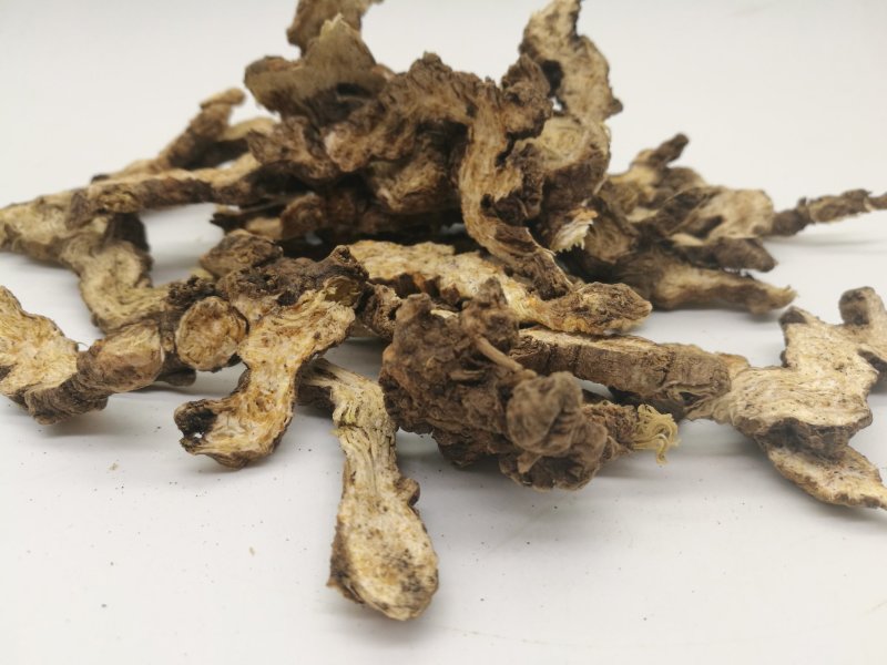 24小时在线服务一手货源超高性价比畅销苍术火爆抢购中
