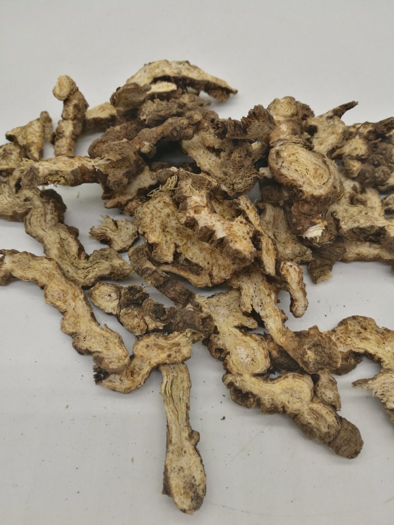 24小时在线服务一手货源超高性价比畅销苍术火爆抢购中