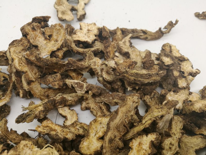 24小时在线服务一手货源超高性价比畅销苍术火爆抢购中