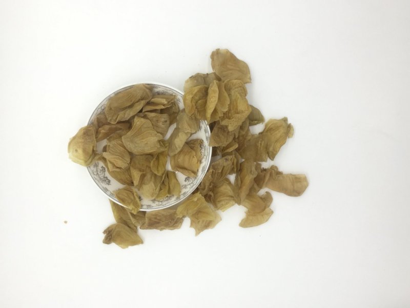 鸡内金，中药材鸡嗉子