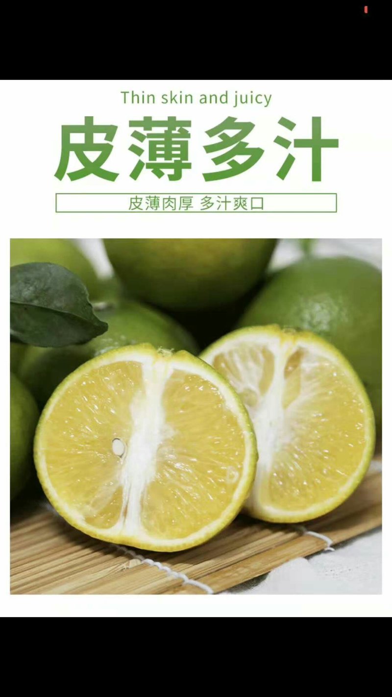 皇帝柑新鲜采摘5斤一级大果约25个29元（泡沫箱装）5