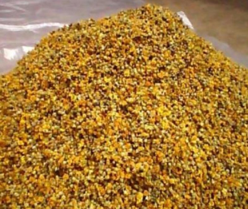 野菊花