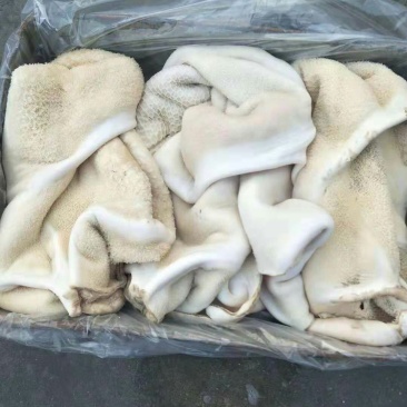 半成品牛肚
