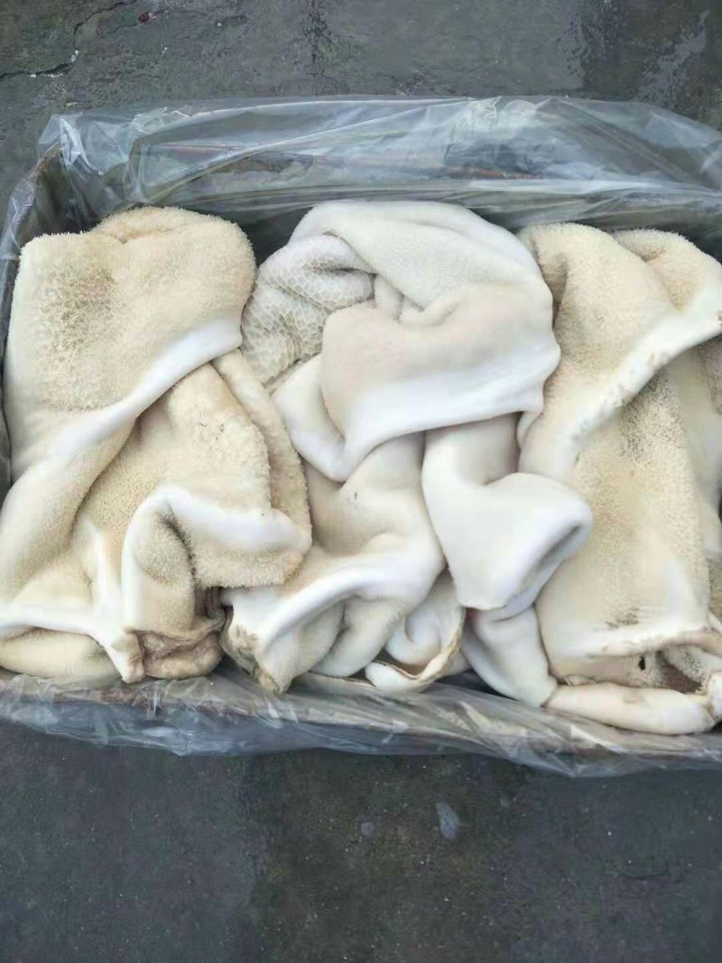 半成品牛肚