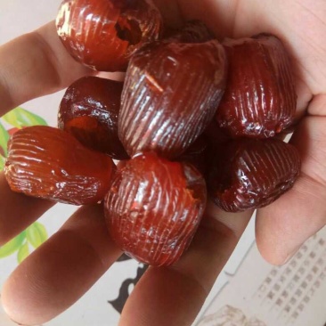 乐陵水晶蜜枣阿胶蜜枣以质论价量大优惠
