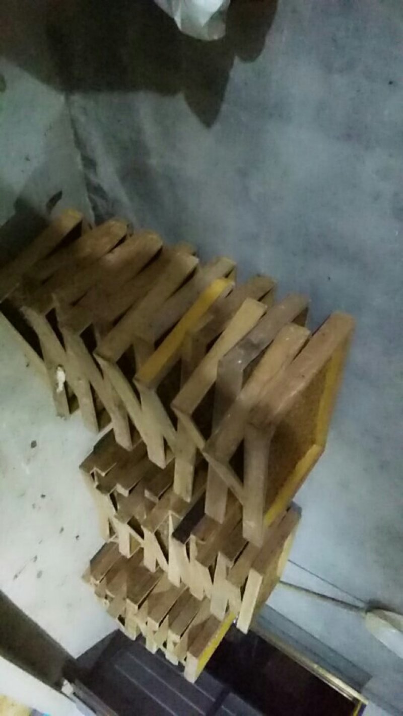 黄粉虫