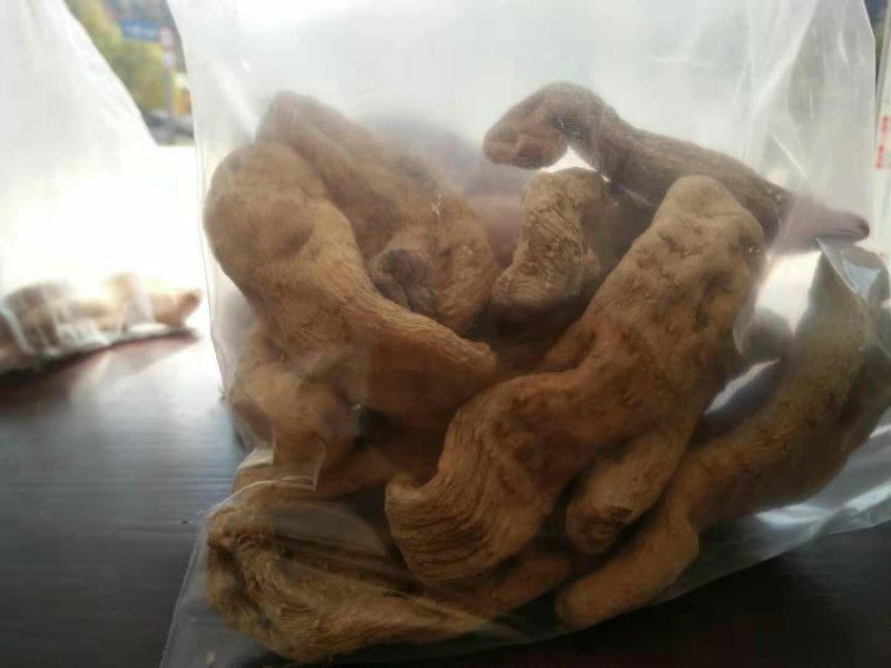 野生天麻
