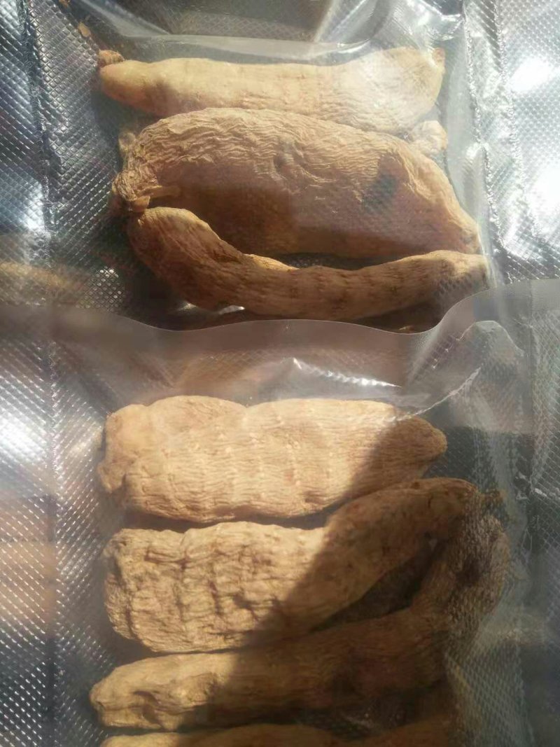 野生天麻