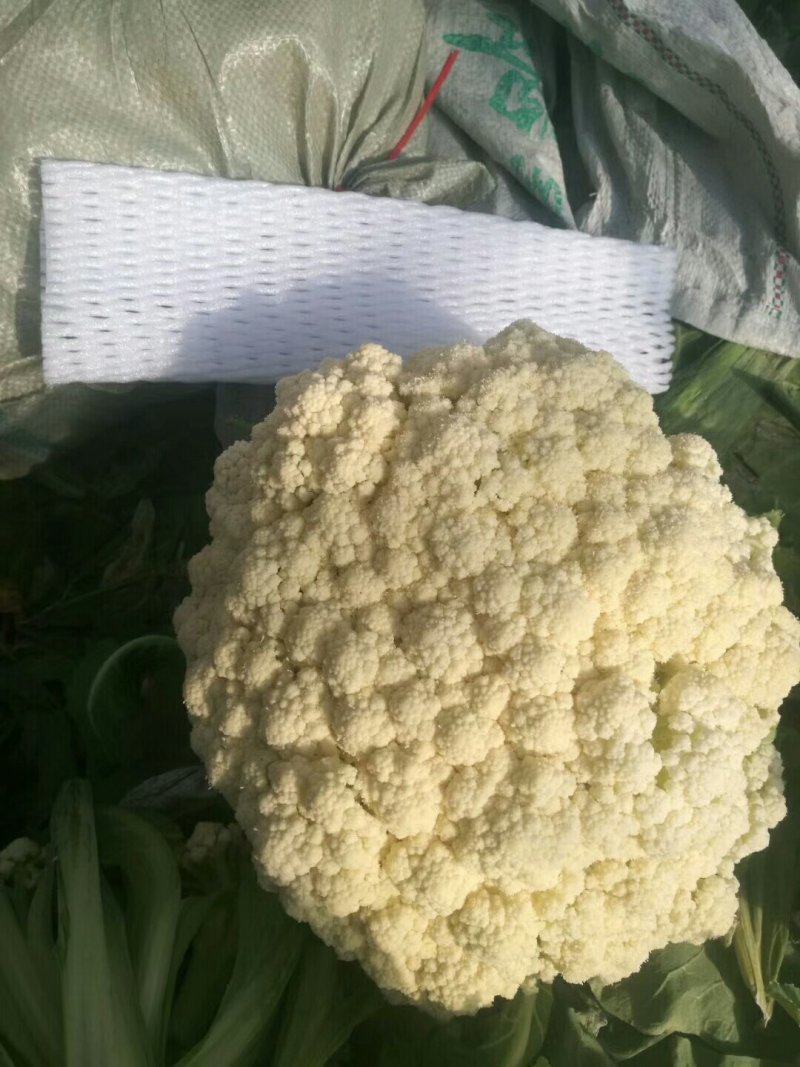 一年最便宜的阶段