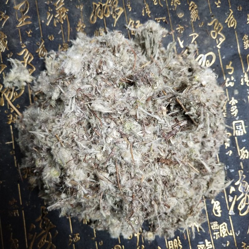 老头草