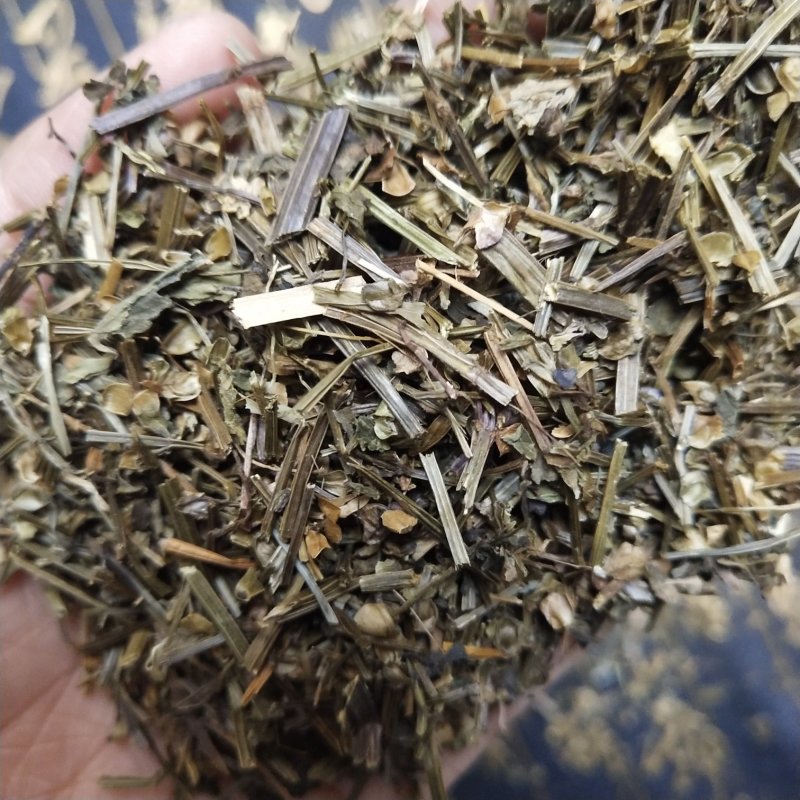 半枝莲头茬全草