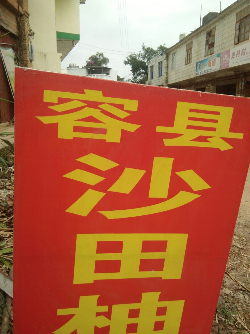 沙田柚1.8斤起通货包上车包甜包好吃可一代代发