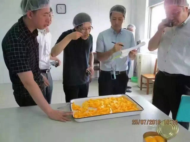 中国罐头十强企业鲜果罐头无防腐剂无添加纯白糖优质果原料