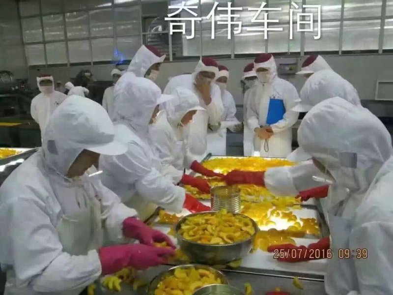 中国罐头十强企业鲜果罐头无防腐剂无添加纯白糖优质果原料