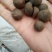 茶仔