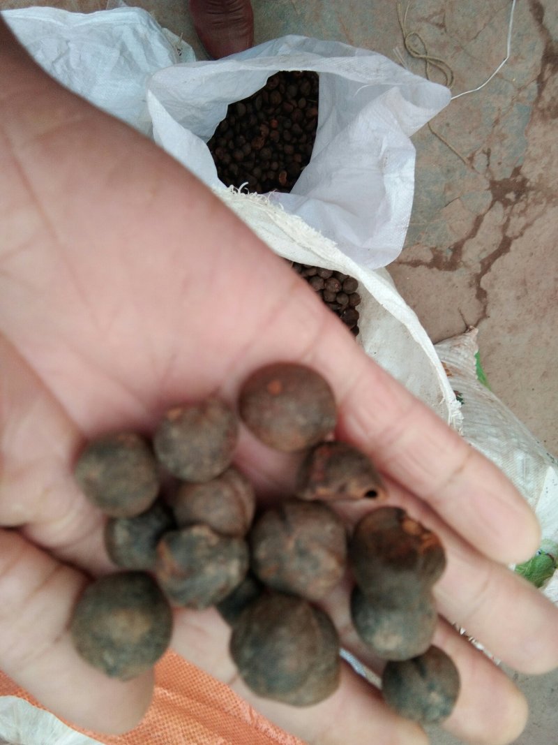 茶仔