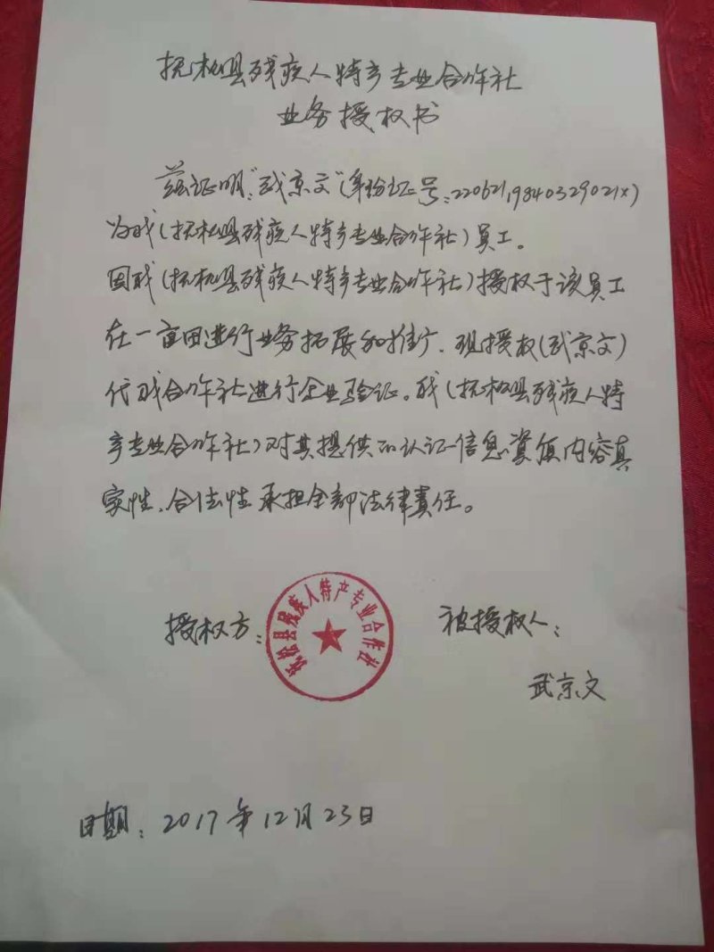 人参花长白山六年生人参花六罐一件包邮产地直供