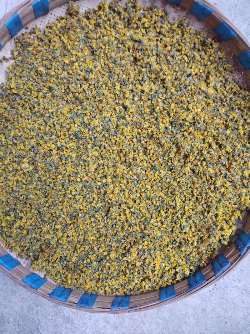 野菊花