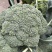 西兰花