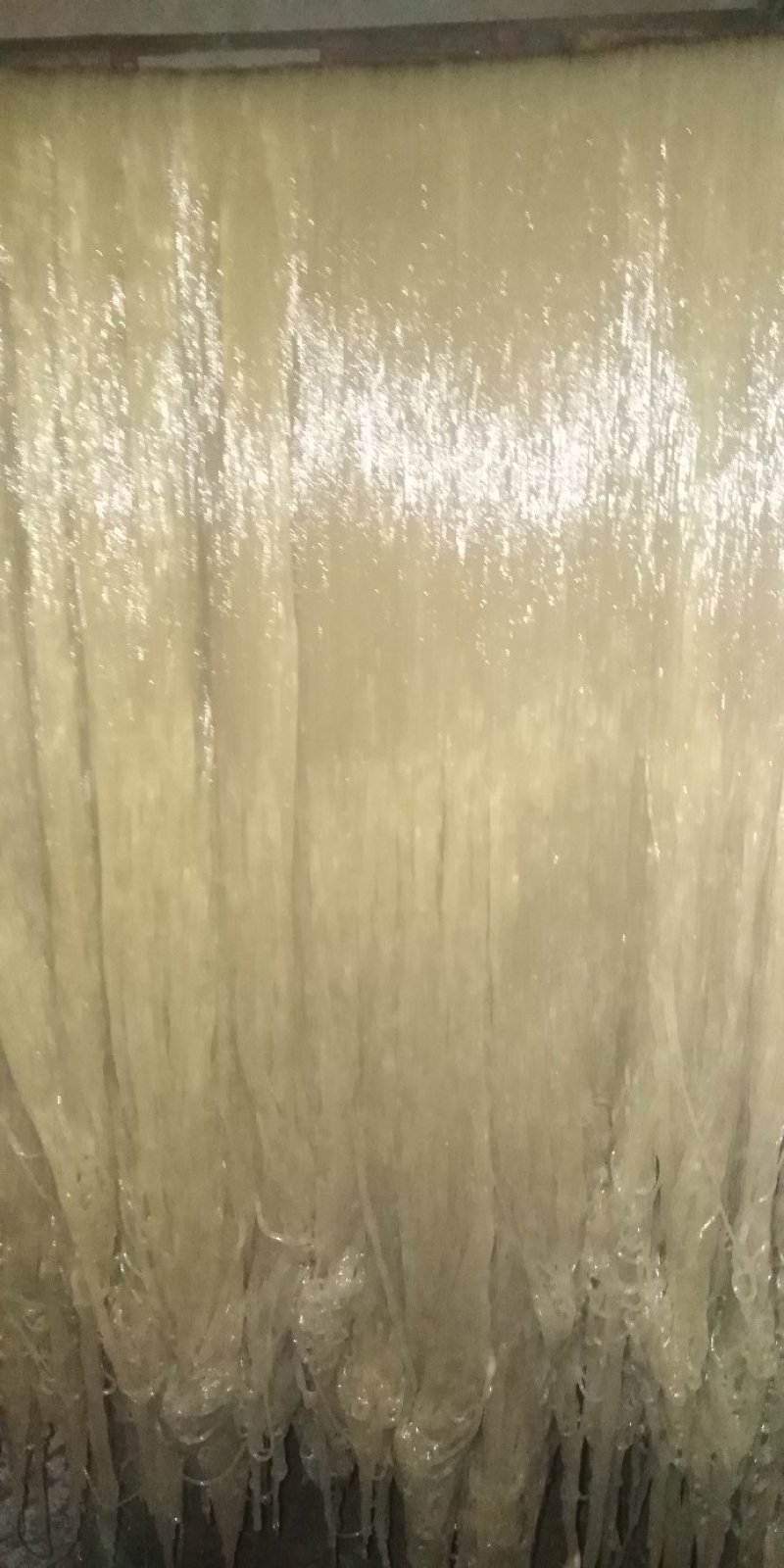 手工红薯粉条