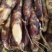 野生天麻，六月椒(花椒)，香肠