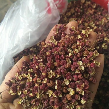 野生天麻，六月椒(花椒)，香肠