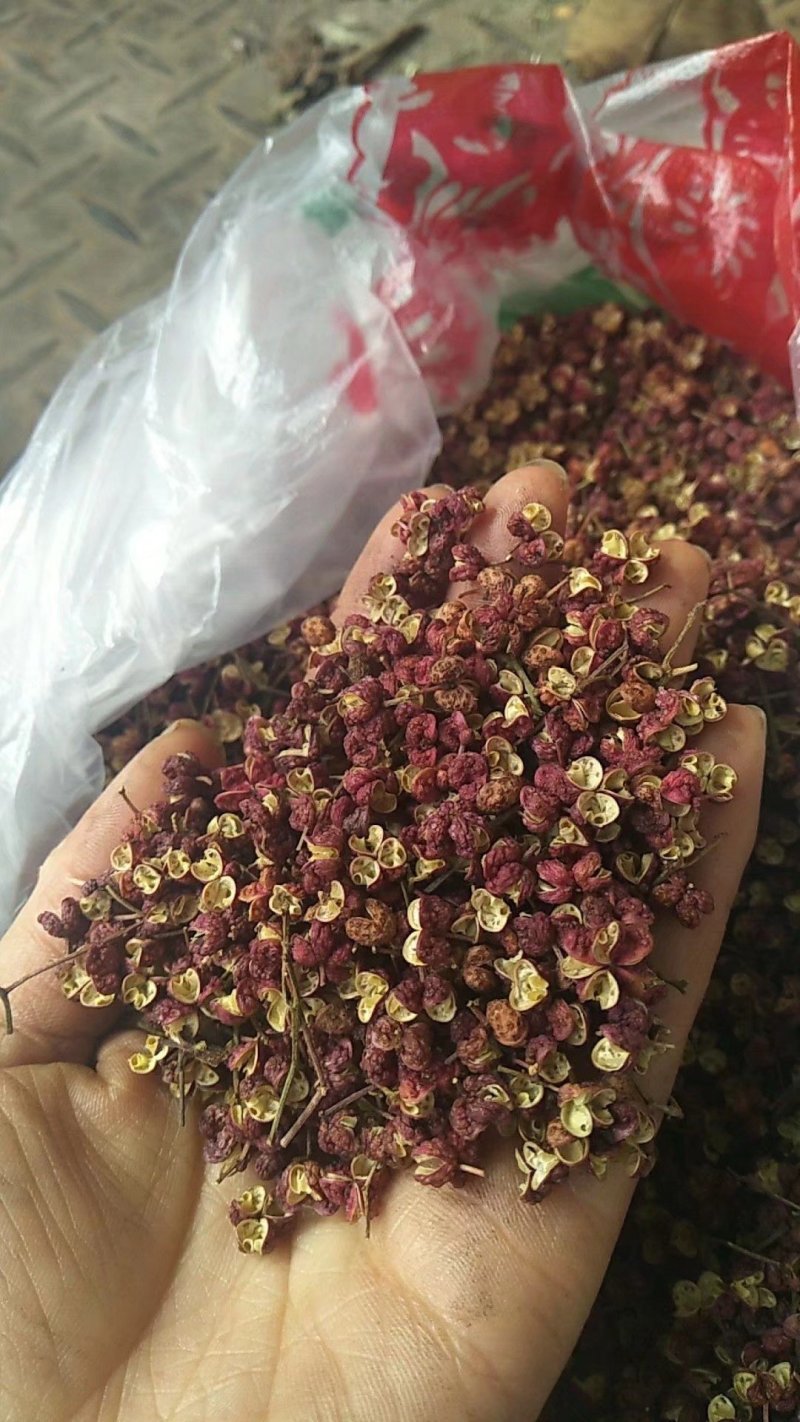 野生天麻，六月椒(花椒)，香肠