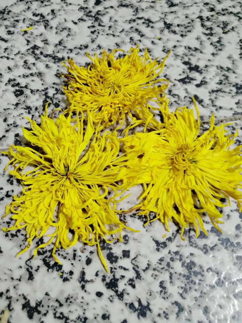 金丝皇菊干货