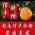 信丰脐橙