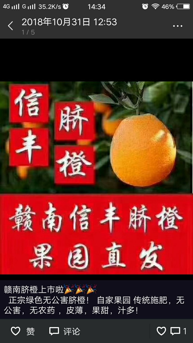 信丰脐橙