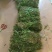 美花石斛小黄草