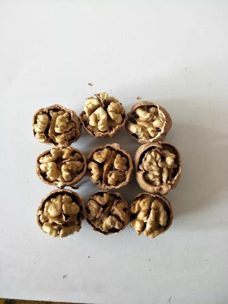 核桃