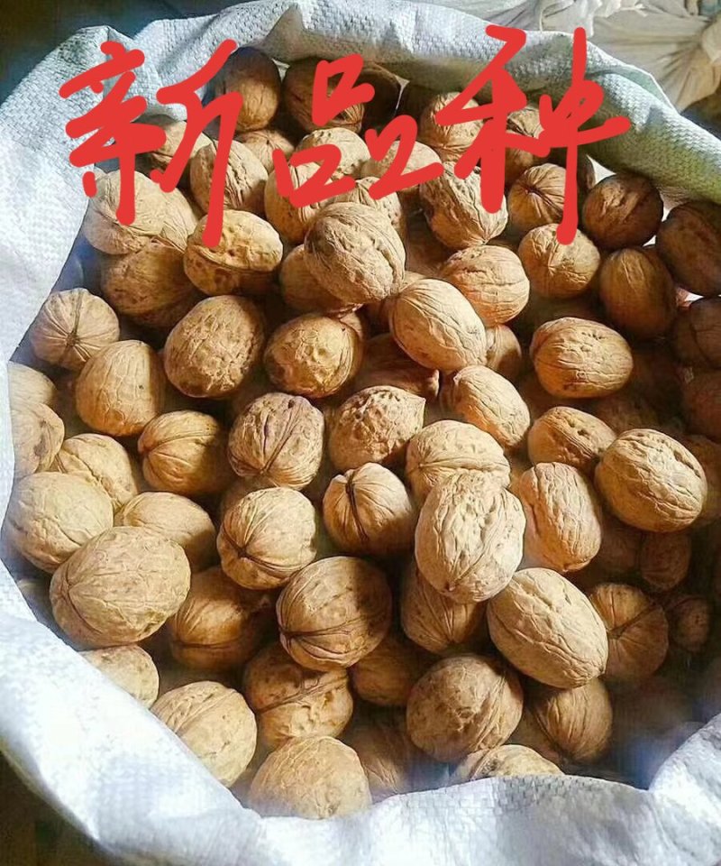 核桃
