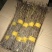 10大量下货，野生杜鹃干支，遇水7-天开花，