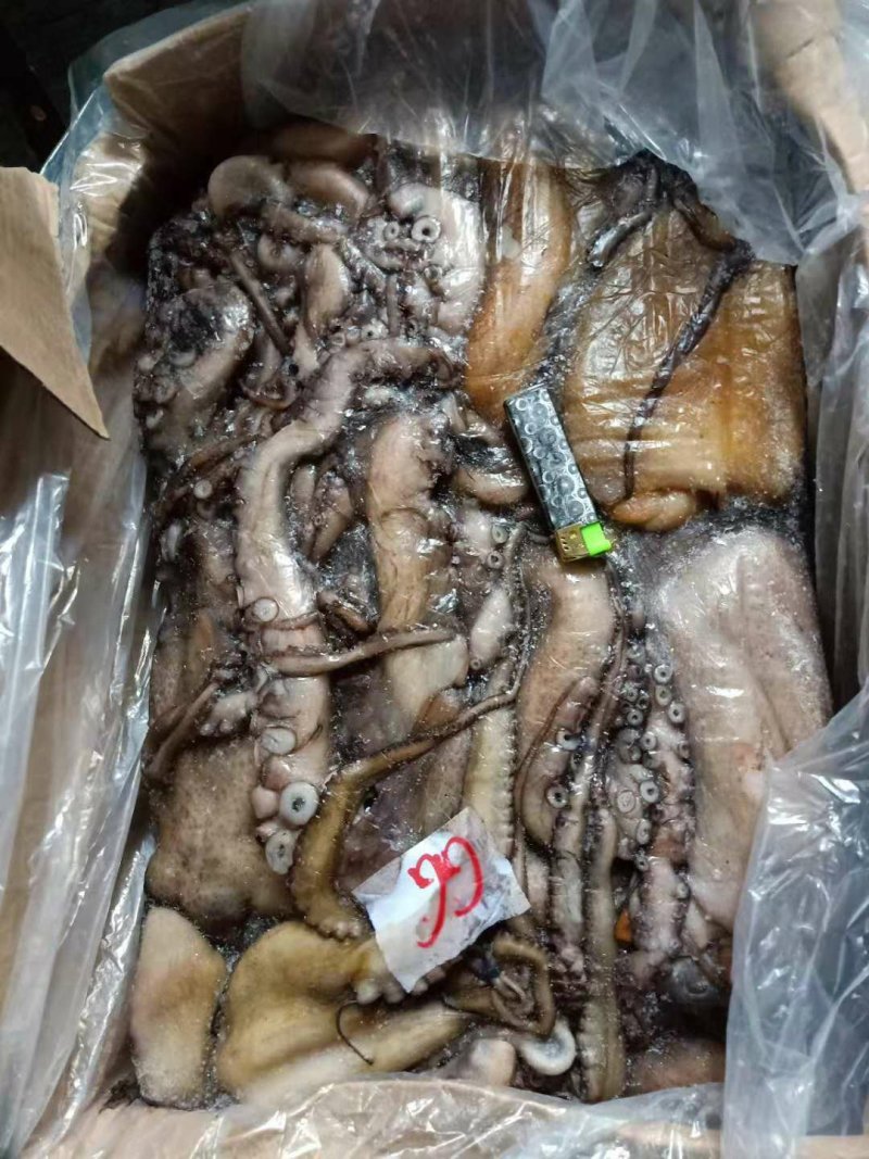 鱿鱼/墨鱼/章鱼